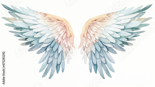Watercolor angel wings isolated on a white background. photo
