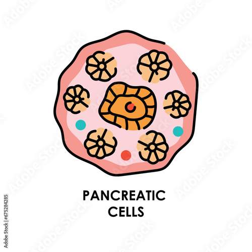 Pancreatic cell color line icon. Microorganisms microbes, bacteria.