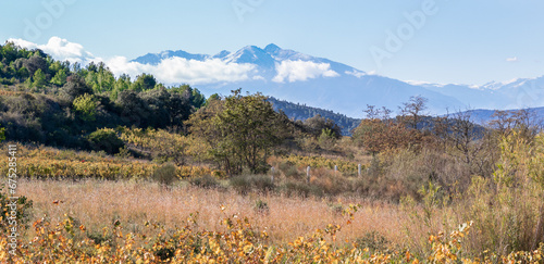 Panorama du Canigou depuis les vignobles de Tautavel Vingrau photo