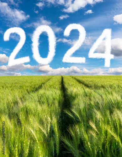 Number of the year 2024 in a cereal field.