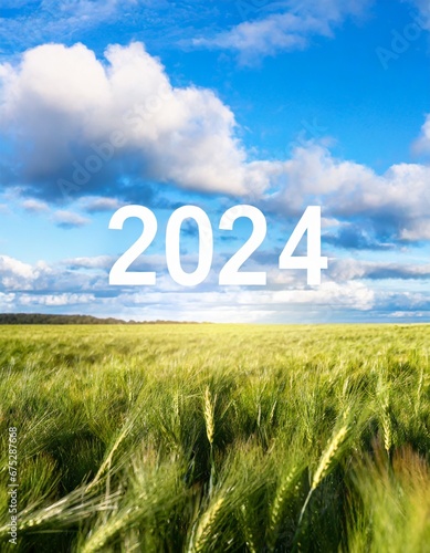 Number of the year 2024 in a cereal field.
