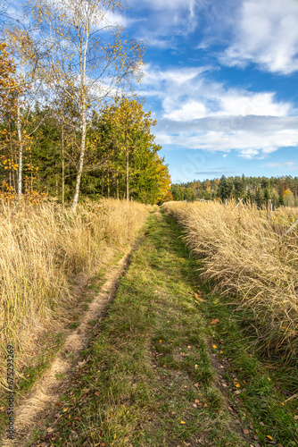 Grassy path through autumnal countryside with colorful trees and blue sky with white clouds