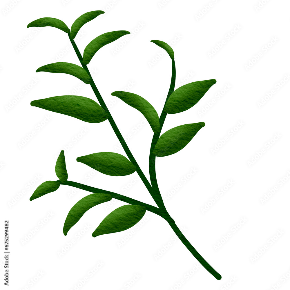 Fototapeta premium green leaves isolated on white background