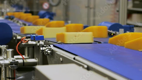 Pieces of yellow cheese across the conveyor belt in a food factory