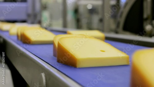 Pieces of yellow cheese across the conveyor belt in a food factory