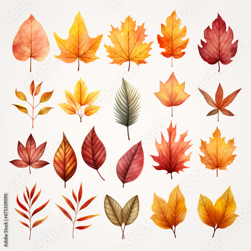 set of watercolor clip art of autumn leaves isolated on white background for graphic design