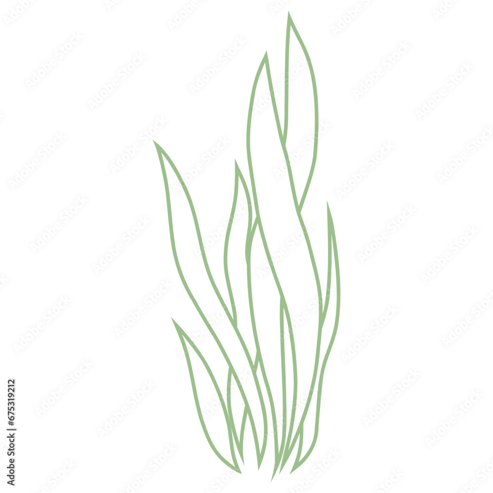 Fototapeta premium green leaf of a plant on a white background.