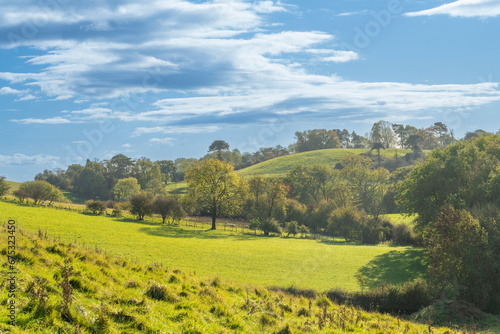 English countryside on a bright early autumn day. View across farmland with fields, sheep and trees beginning to change colour