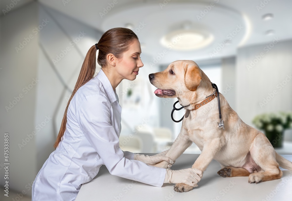 Veterinarian doctor with cute domestic dog in Veterinary Clinic, AI generated image