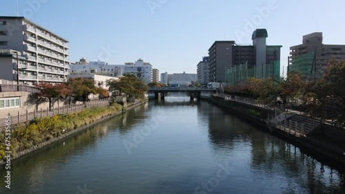大阪、都市、風景、川、橋、秋