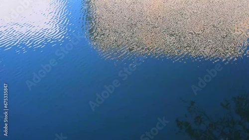 大阪、都市、風景、川、橋、秋、川、水波