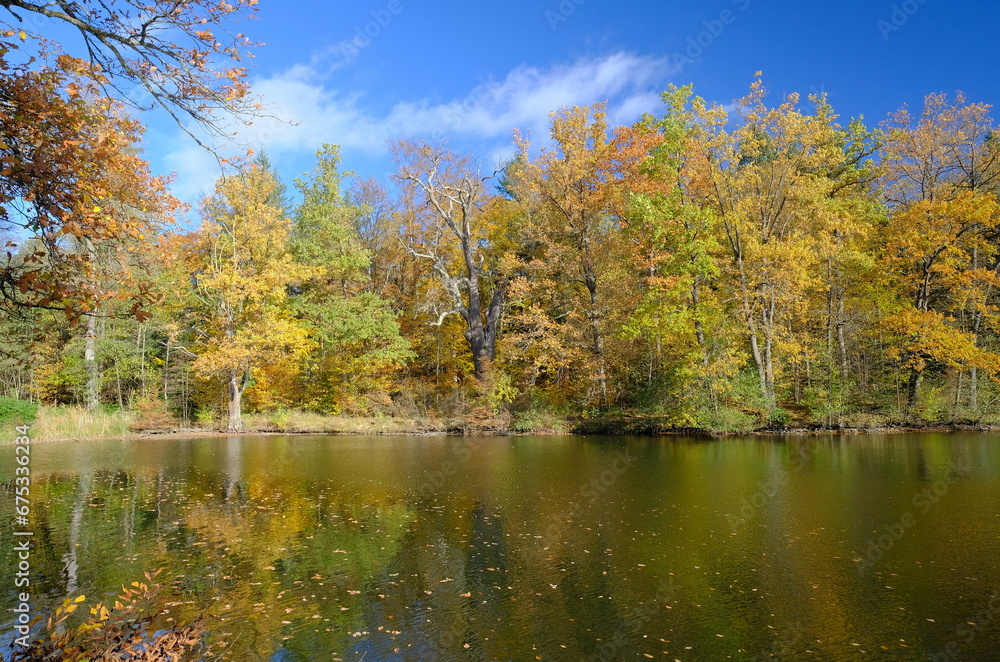 Herbststimmung am Bärensee Herbststimmung am Bärensee
