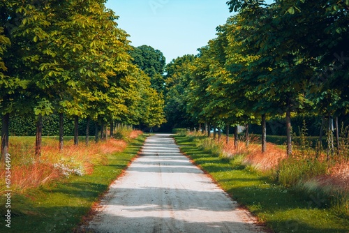 Scenic road in the countryside with an abundance of lush trees bordering the sides.