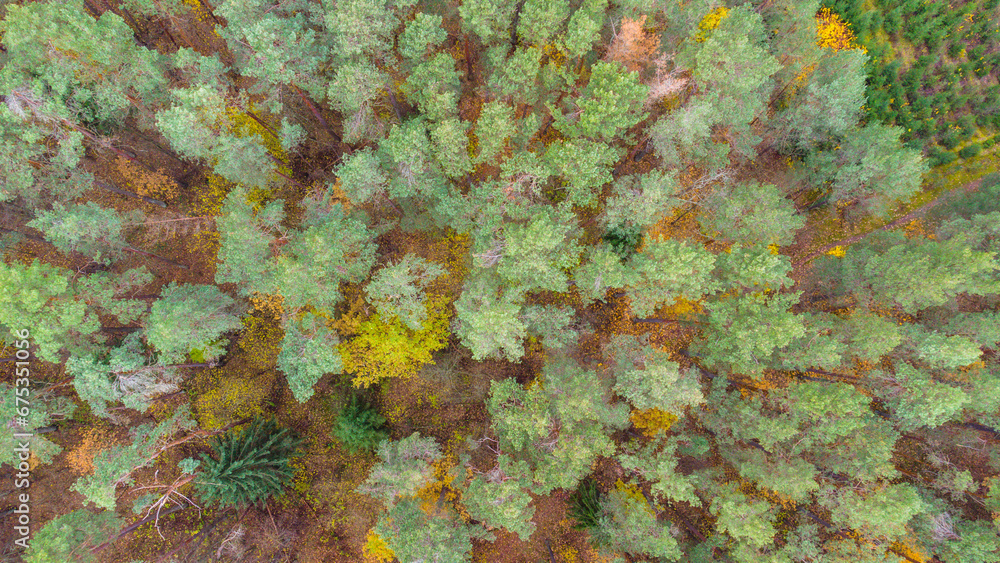 Autumn lake, river around fall color. Drone aerial nature view. Water and forest Autumn lake, river around fall color. Drone aerial nature view. Water and forest