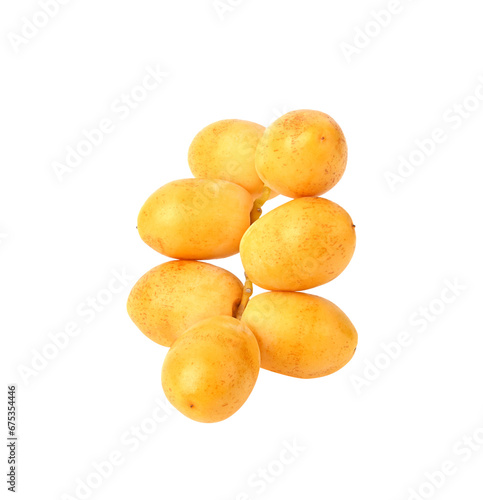 date palm on transparent png