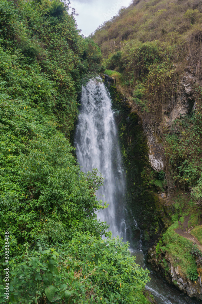 Waterfall in the green forest