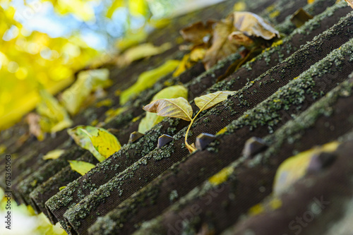 An old roof overgrown with moss and fallen leaves. photo