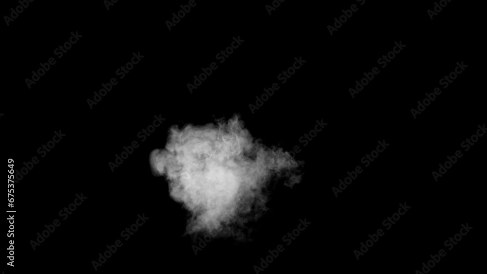 Abstract white smoke animation on a black background. Smoke, steam, explosion, fire, puff, steady vapors. Realistic smoke cloud from up and button with floating fog. Best for using in composition. Abstract white smoke animation on a black background. Smoke, steam, explosion, fire, puff, steady vapors. Realistic smoke cloud from up and button with floating fog. Best for using in composition.