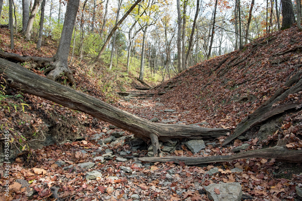 Fallen Trees in Dried Up Riverbed In Late Fall, Horizontal Fallen Trees in Dried Up Riverbed In Late Fall, Horizontal
