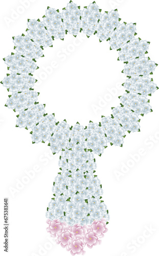 Illustration of Gerdenia or Cape jasmine flower bouquet with leaves.