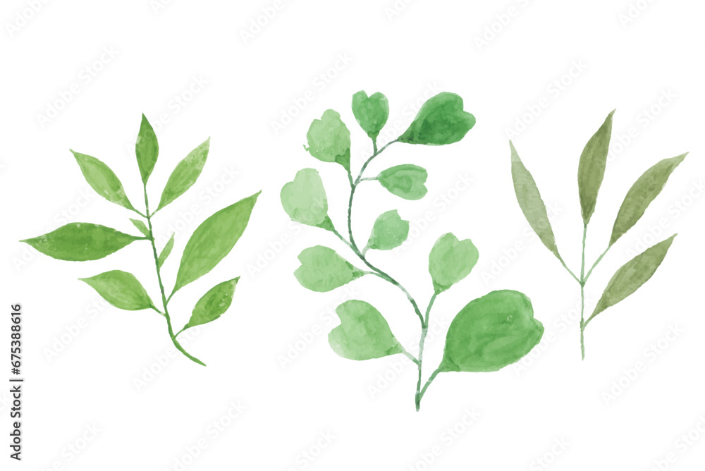 watercolor leaves illustration set - green leaf branches collection for wedding, greetings, stationary, wallpapers, fashion, background. olive, green leaves, Eucalyptus etc watercolor leaves illustration set - green leaf branches collection for wedding, greetings, stationary, wallpapers, fashion, background. olive, green leaves, Eucalyptus etc