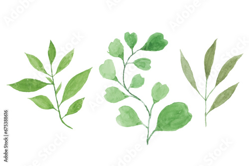 watercolor leaves illustration set - green leaf branches collection for wedding, greetings, stationary, wallpapers, fashion, background. olive, green leaves, Eucalyptus etc