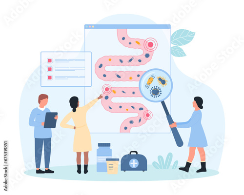 Gut microbiome research, gastrointestinal health vector illustration. Cartoon tiny people with magnifying glass check good and bad bacteria, microbiota on infographic anatomy chart of human bowel