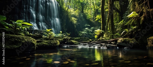 In the lush rainforests of Borneo a majestic waterfall cascades down against the backdrop of verdant trees and vibrant orange plants creating a breathtaking landscape that epitomizes the bea