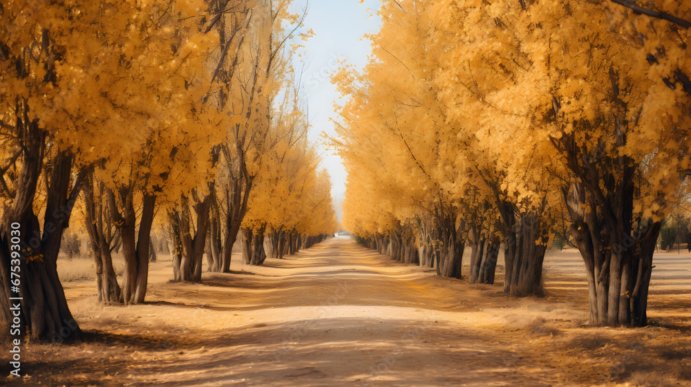 Fototapeta premium autumn in the forest
