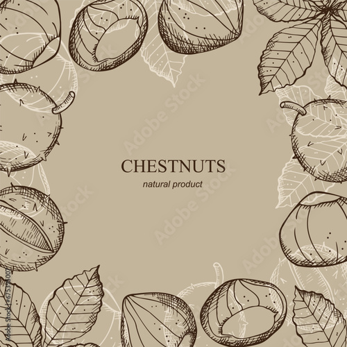 Chestnut card design with hand drawn vector illustration with leaves, plants, fruits. Decorative background with vintage sketch of sweet chestnuts tree. Chestnuted template for print, poster, wrapping