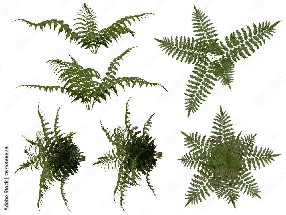 Compoisting Kit of Vegetation and bushes. Tropical Type. Different view points.