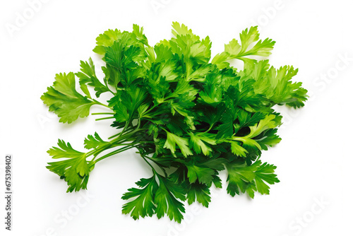 Parsley fresh healthy herb leaves on white background. Fresh wholefoods farmer's market produce. Healthy lifestyle concept and healthy food.