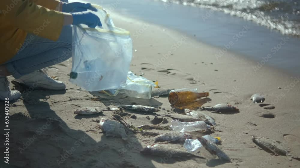 Cleaning plastic on the beach. Women-Volunteer collect trash in a trash bag. Plastic pollution and environmental problem concept. Voluntary cleaning of nature from plastic.4K Cleaning plastic on the beach. Women-Volunteer collect trash in a trash bag. Plastic pollution and environmental problem concept. Voluntary cleaning of nature from plastic.4K