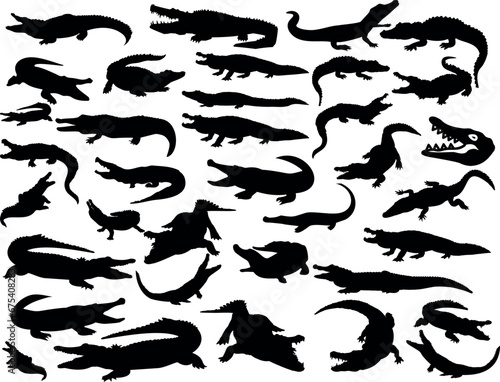 Crocodile  Alligator Vector Illustration Set. Black Silhouettes Collection of Different Species in Various Poses and Angles. Perfect for Zoo  Wildlife  Nature  Safari  Danger  Hunting