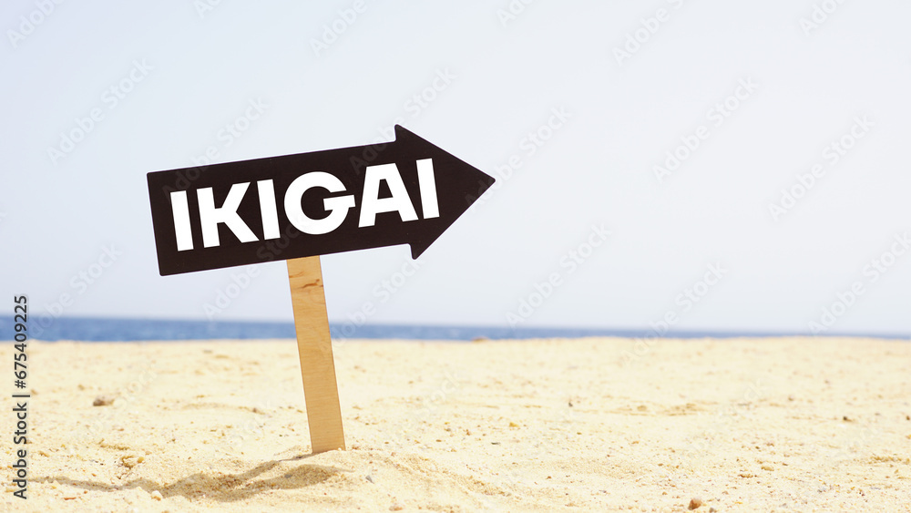 Find your ikigai is shown using the text