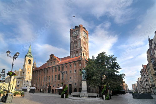 Toruń's Gothic town hall at daylight photo