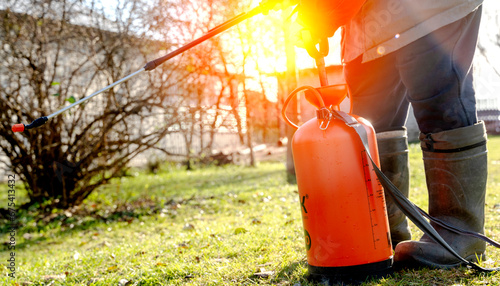 gardener sprays trees against diseases and insects