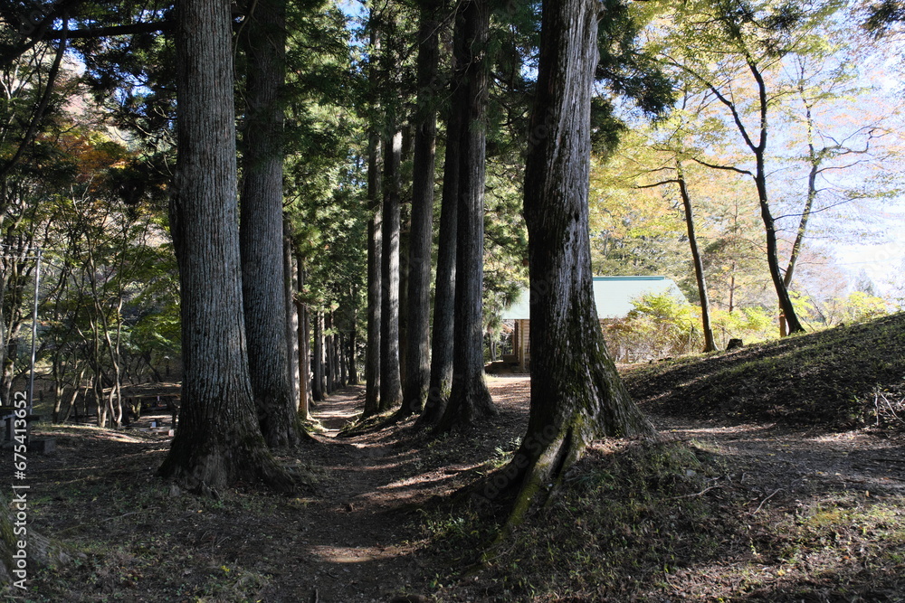Fototapeta premium 秩父の山道 Mountain Roads in Chichibu
