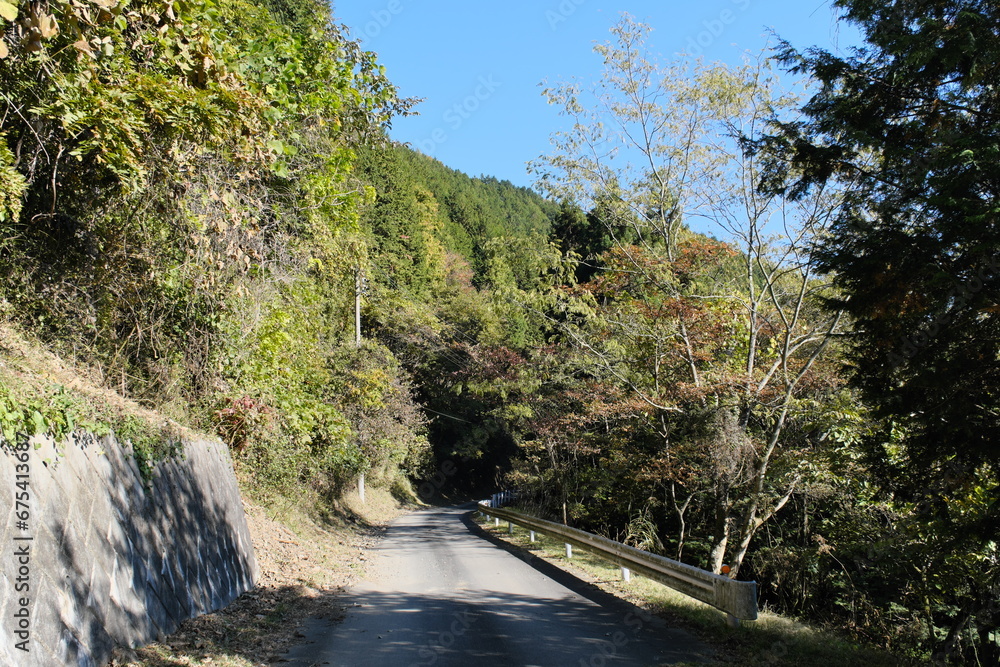 秩父の山道　Mountain Roads in Chichibu
