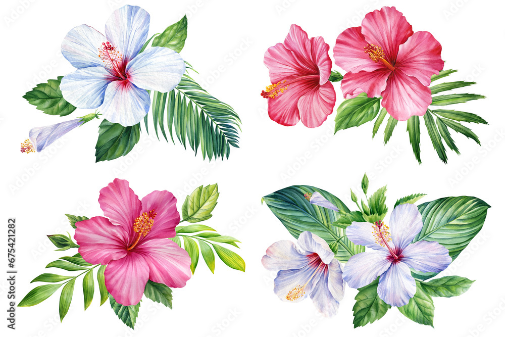 Obraz premium Set of Tropical flora isolated background, hibiscus and palm leaf, Beautiful watercolor plants, leaves and flowers 