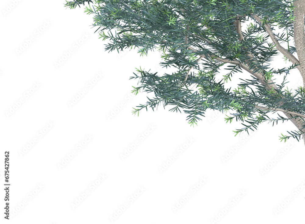 Fototapeta premium branch of a tree