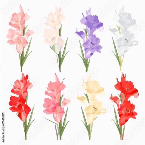 Set of watercolor gladiolus flowers on white background clipart