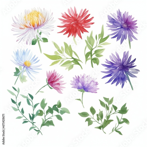Set of watercolor asters flowers clipart