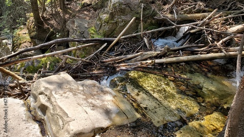 mountain creeks, hiking, trails, discover nature, beauty
