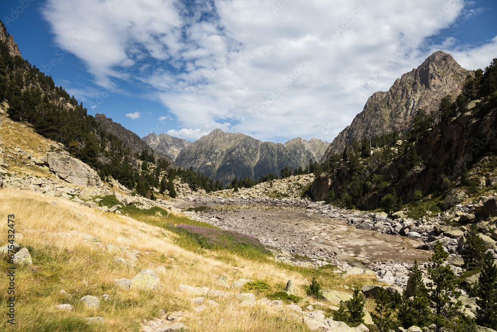 Beautiful landscape of the natural park of Aigüestortes y Estany de Sant Maurici, Pyrenees landscape with river and lake