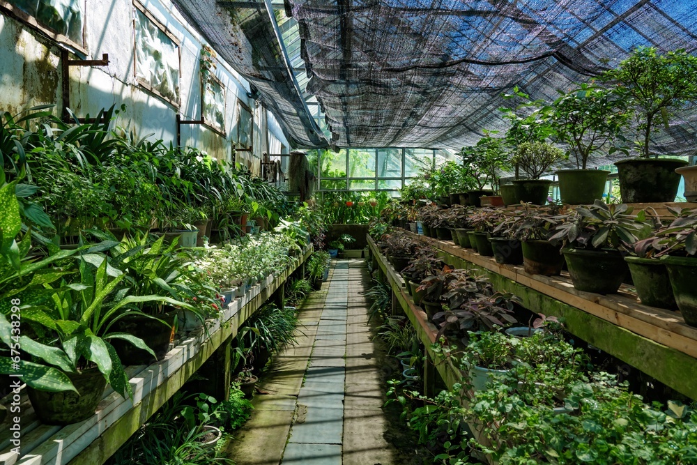 a garden house filled with green plants in the sunroom a garden house filled with green plants in the sunroom