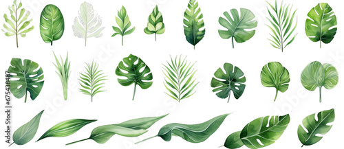 Generative AI image of illustrations of tropical leaves are spread across a white background