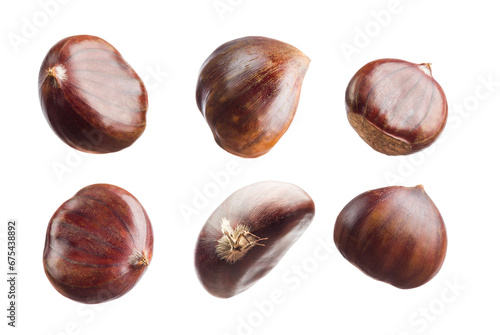 Chestnuts isolated on transparent background. PNG image. photo