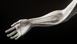 Realistic sculpture arm profile pointing pose on a black background