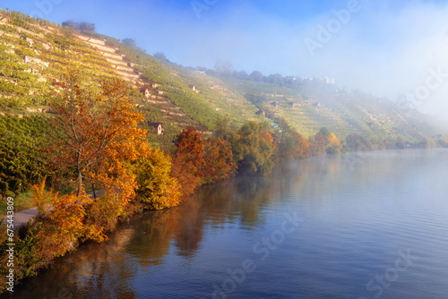 Slight fog on a river in Autumn
